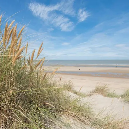 Salty - Op De Grens Bredene-de Haan Bredene